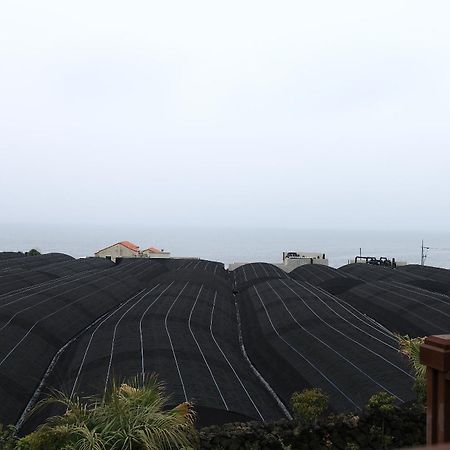 Haevichi Pension Seogwipo Exteriör bild